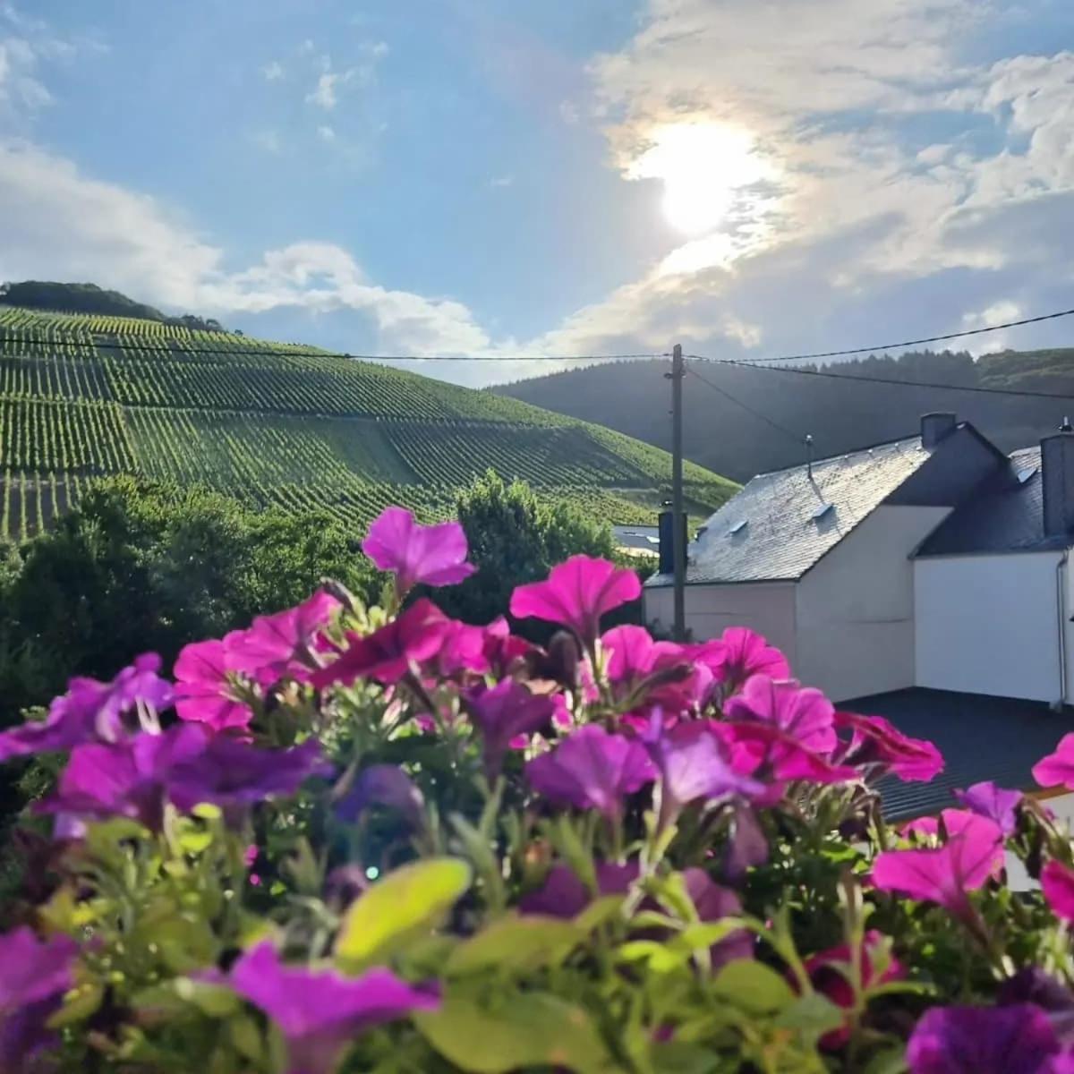 Gasthof Zur Grafschaft Veldenz Exterior foto